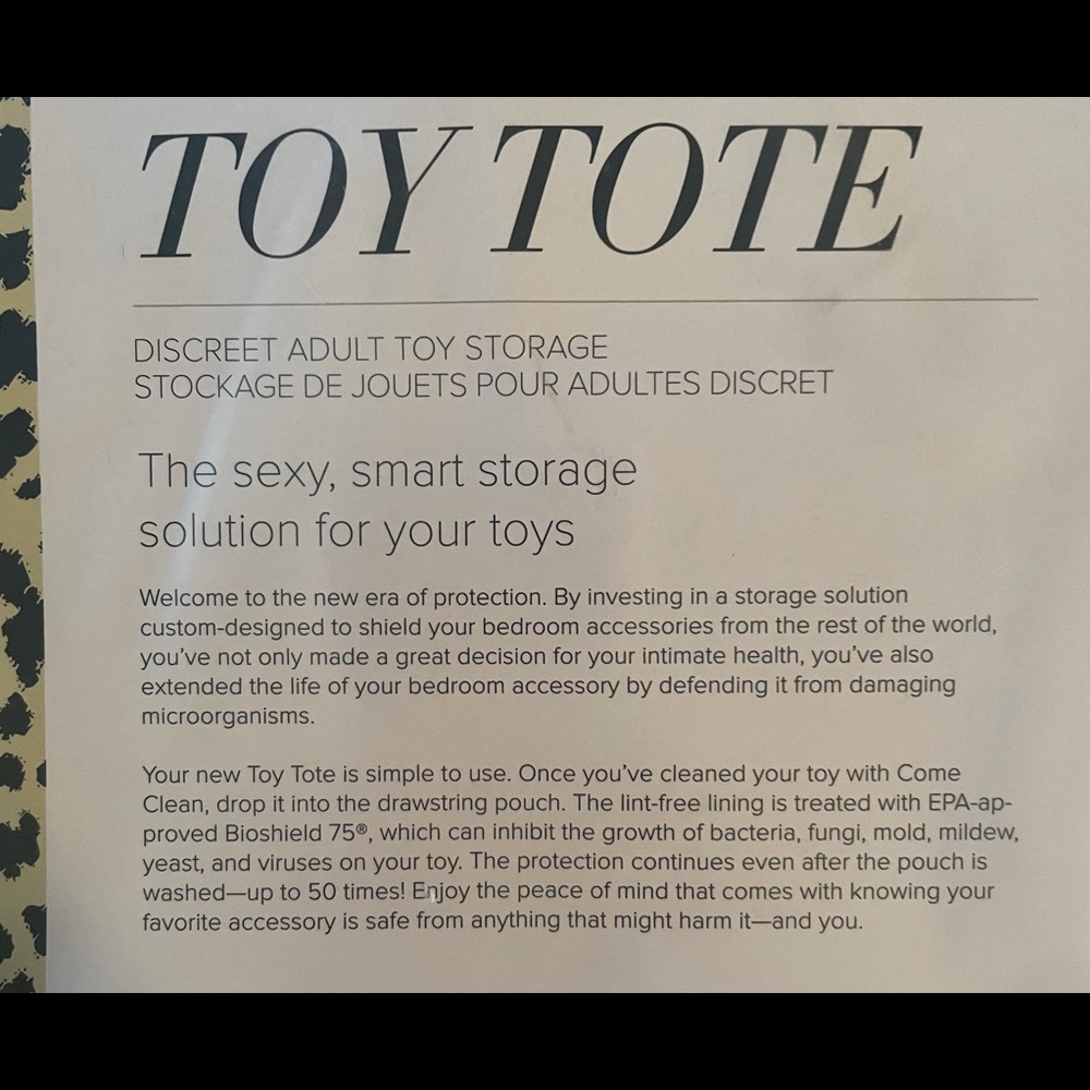 Discreet toy tote